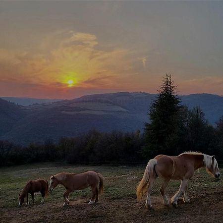 B&B Ca Montemezzano Verona Kültér fotó